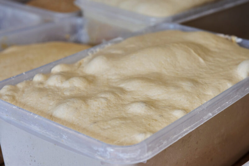Sauerteig gärt in Gärbox