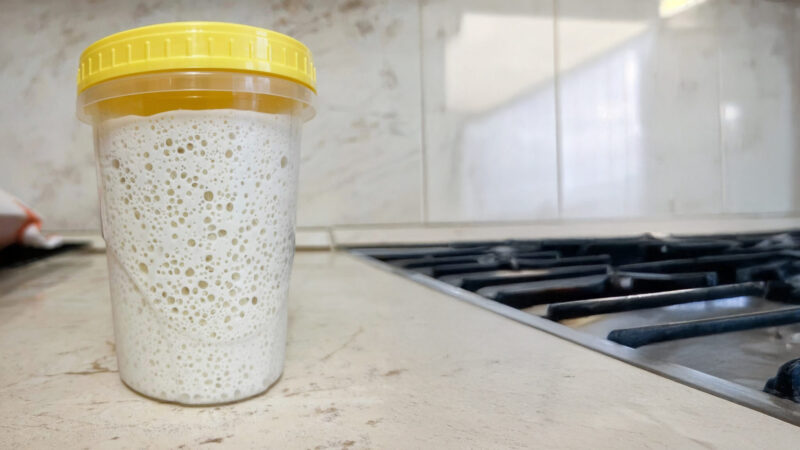 Sauerteigstarter-Gärbox