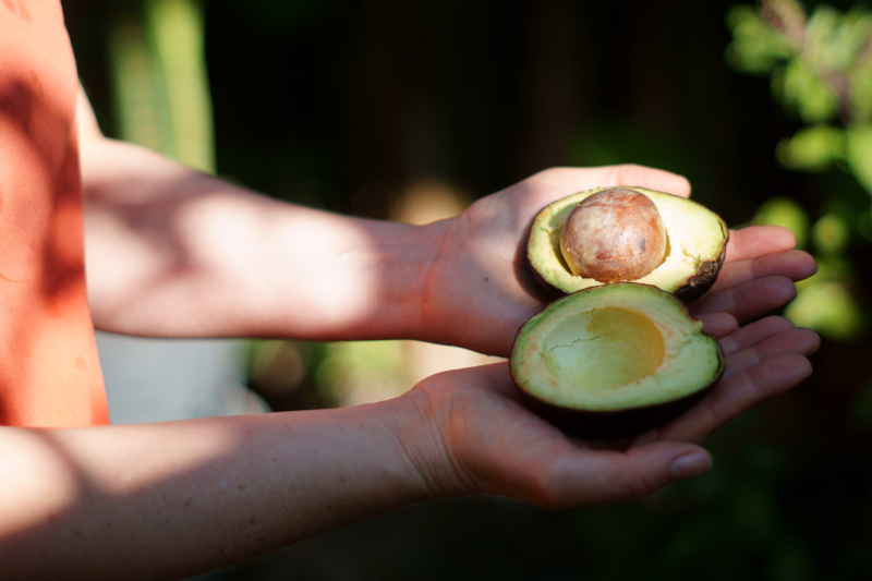 Avocado Nährstoffbombe